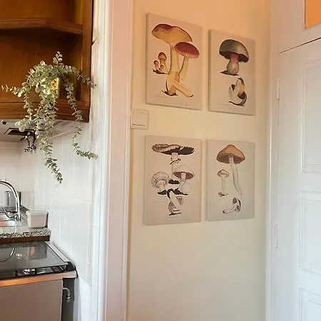 Holiday home Casa Dos Frades